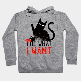 I Do What I Want - Cute  Funny Cat Quote Artwork Hoodie